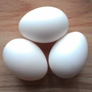 White Eggs